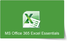 Microsoft Office 365 Excel Essentials Training