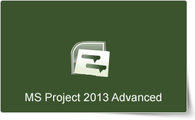 Microsoft Project 2013 Advanced Training